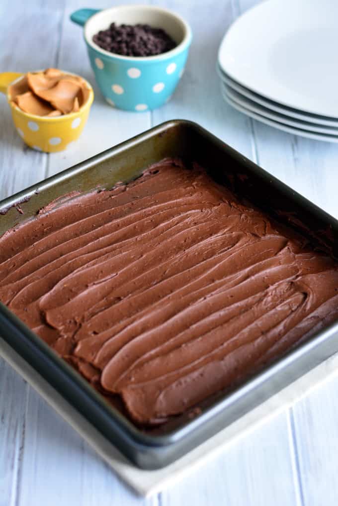 Peanut Butter Brownies in a square pan with chocolate icing.