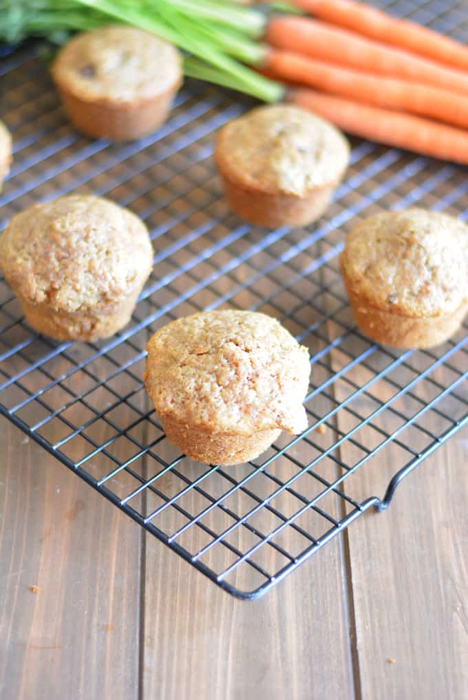 Carrot muffins on a black cooling rack.