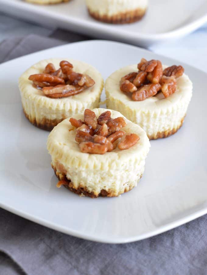 Pecan Topped Mini Cheesecakes with Gingersnap Crust is low in sugar and rich in protein. Made with low sugar yogurt and stevia. Perfect for your holiday dessert.