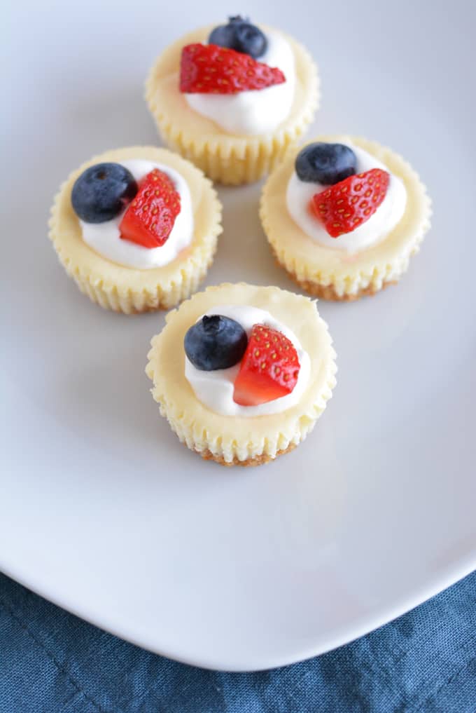 Four mini cheesecake bites on a white plate.