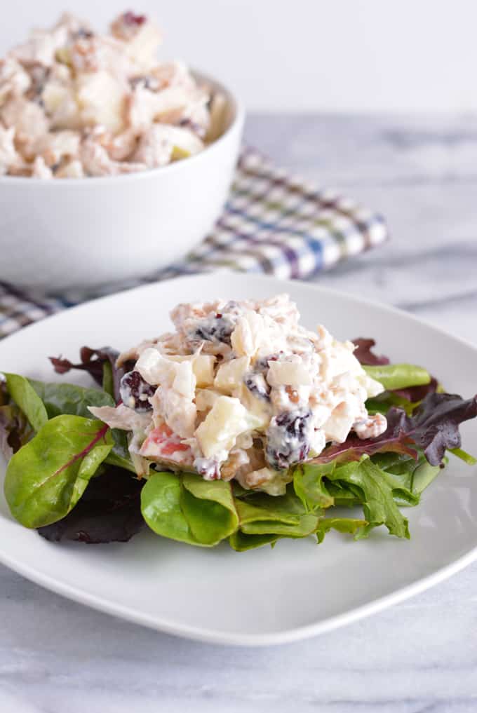 Homemade turkey salad on a bed of salad greens on a white plate.