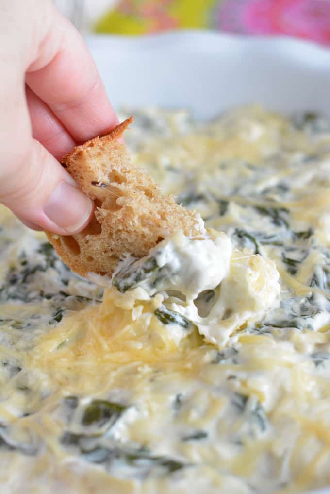 Bread dipped into spinach artichoke dip.