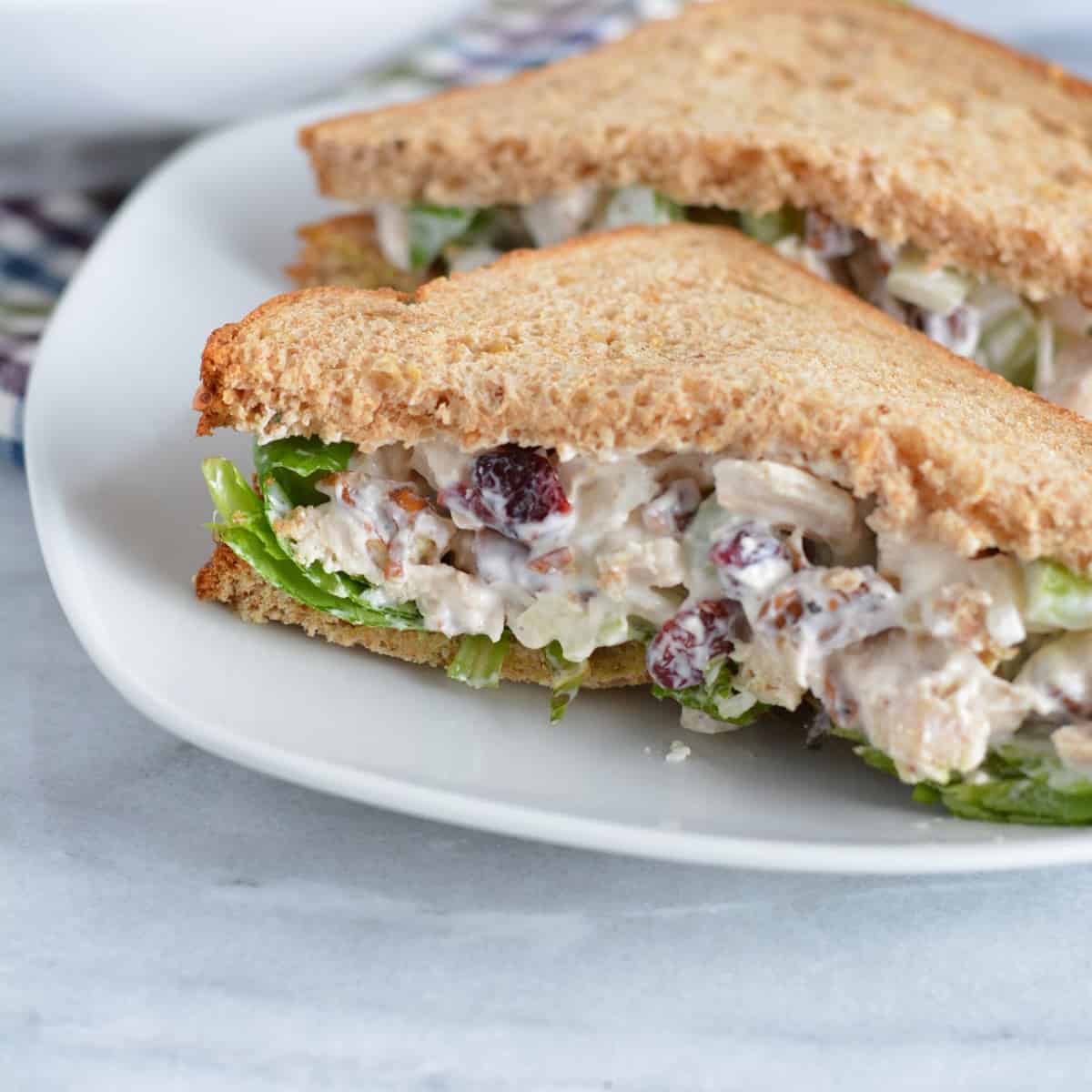 Chicken salad on whole wheat bread on a white plate.